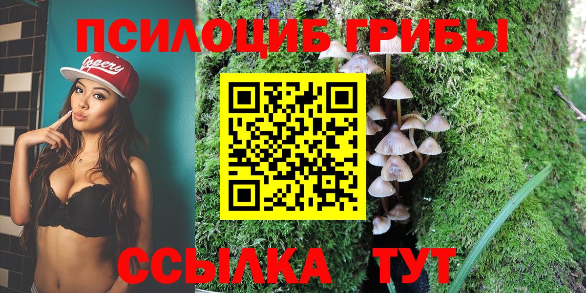 Псилоцибиновые грибы Psilocybine cubensis  Вход с VPN  Вичуга  Псилоцибиновые грибы мухоморы 